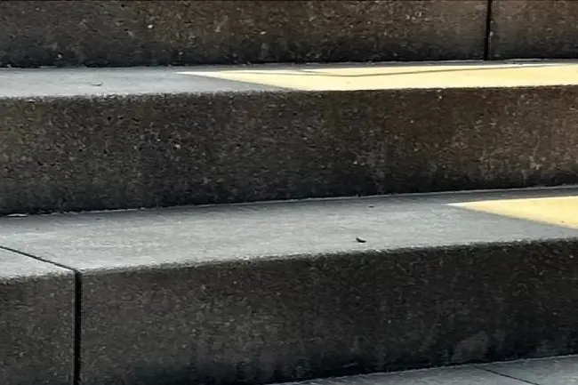 Commercial-Concrete-Cleaning-BEFORE-ic-webp-1