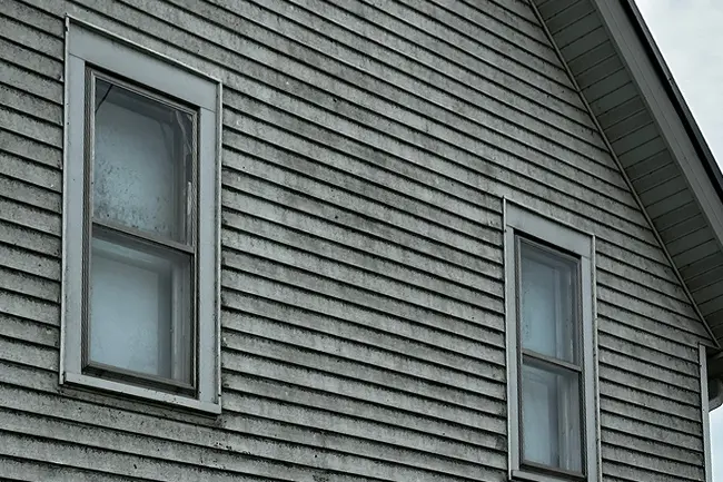 A close-up of dirty residential vinyl home siding covered in dark mold before a soft washing service in Appleton, Wisconsin.