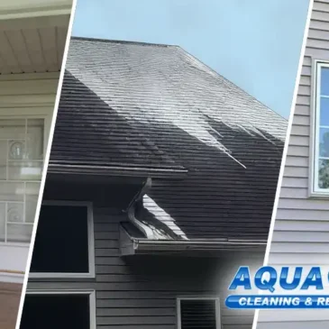 The Fox Valley Residential Soft Washing Guide: Essential Exterior Care for Siding and Roofs