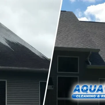 The Ultimate Guide to Roof Soft Washing in the Fox Valley: Save Your Shingles & Protect Your Insurance