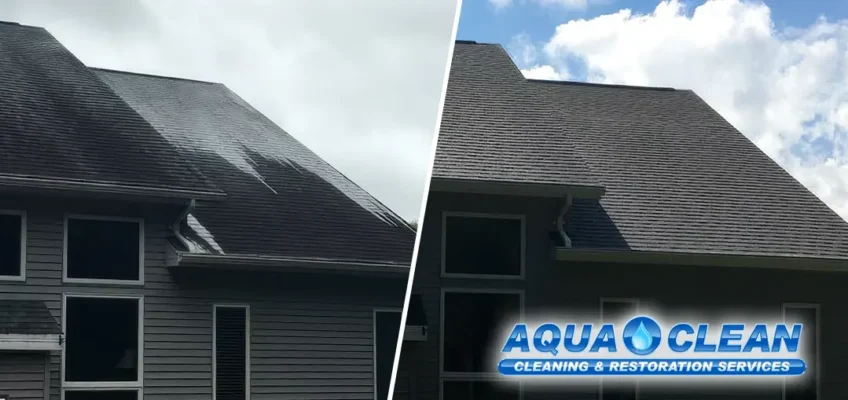 Split before & after images of a dark stained asphalt shingle roof with Soft Washing solution applied to it and the resulting clean, stain-free roof.