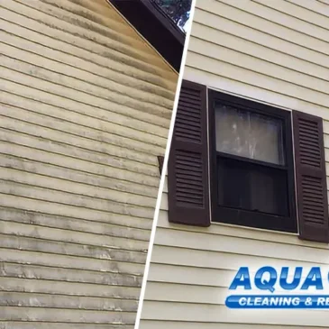 Why House Soft Washing Is the Superior Choice for Your Fox Valley Home